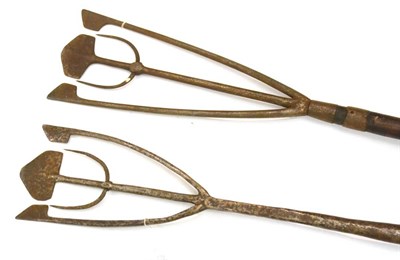 Lot 2067 - Two Large Eel Spears, with three pronged steel heads and long wooden handles