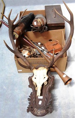 Lot 1071 - Hunting Memorabilia, including three sets of antlers, one on an oak shield dated 1930, two pairs of