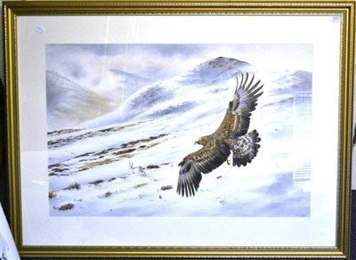 Lot 1090 - Colin Woolf `Winters Shadow', Golden Eagle, in pursuit of a hare in a snowy mountainous...