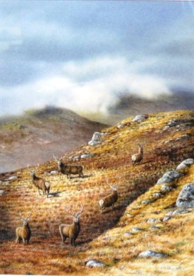 Lot 1093 - Colin Woolf Red Deer, in a mountainous highland landscape, signed and dated (19)99,...