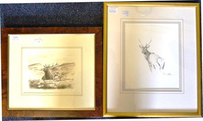 Lot 1094 - Colin Woolf Red Deer Stag in a highland landscape, signed and dated (19)93, sepia watercolour...