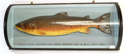 Lot 1251 - A Barrel Cased Plaster Model of a Trout, inscribed 'Trout 7 1/4lbs Caught On Loch Ericht By...