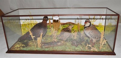 Lot 2006 - A Taxidermy Display of a Red Grouse, a Partridge and a Quail, late 20th century, perched...