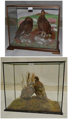 Lot 2007 - Red Grouse (Lagopus lagopus scotica), late 20th century, two full mounts, one perched alert,...