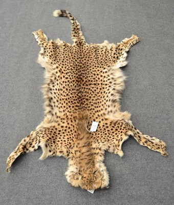 Lot 2017 - Cheetah (Acinonyx jubatus), 1942, skin rug, flat head, no backing material, 188cm long, 123cm...