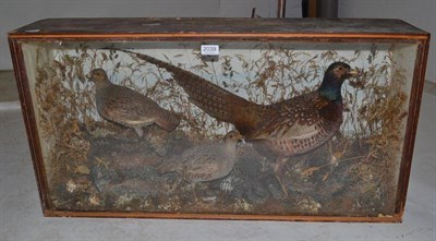 Lot 2039 - A Group of Three Victorian Taxidermy Field Birds, comprising cock Pheasant and a pair of...