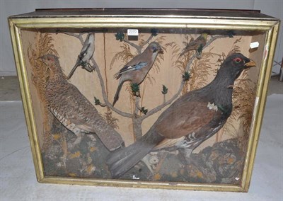 Lot 2070 - A Victorian Case of Taxidermy Birds, including cock and hen Capercaille, Jay, Yellow Hammer and...