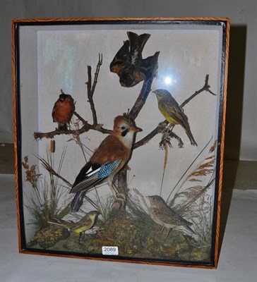 Lot 2089 - A Group of Six Taxidermy Garden Birds, circa 1910, including Jay and Bullfinch, some perched on...