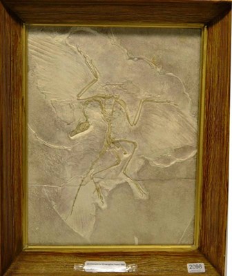 Lot 2098 - Archaeopteryx Lithographia, Bavarian Limestone, Germany, discovered 1860, a pressed card copy, 47cm