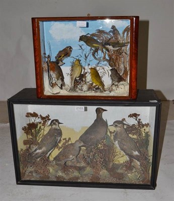 Lot 2103 - A Group of Seven Taxidermy Garden Birds, early 20th century, including Robin, Dunnock,...