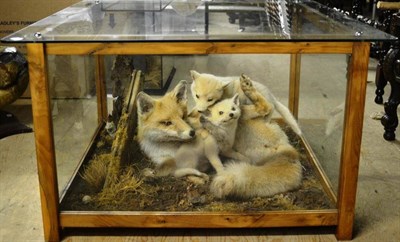 Lot 2108 - A Taxidermy Vixen and Cub Group as a Coffee Table, by Emily Mayer, Diss, Spring 1981, the recumbent