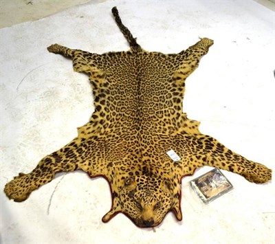 Lot 2126 - Leopard (Panthera pardus), circa 1895, flat skin rug with slightly raised head, 208cm long nose tip