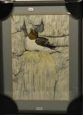 Lot 2140 - Keith Brockie (b.1955) ";Razorbill, Cornerstone, Isle of Moy"; Signed, titled and dated 5th May...