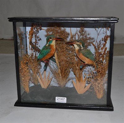 Lot 2147 - Kingfisher (Alcedo atthi), circa 1920, a pair of full mounts, each perched amongst grasses over...