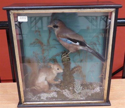 Lot 2202 - A Taxidermy Full Mount Jay and Red Squirrel,  William J Clarke, Huntriss Row, Scarborough,...