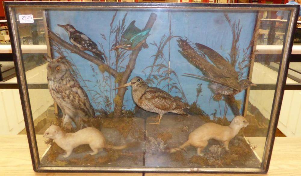 Lot 2205 - A Cased Group of Five Taxidermy Birds and Two Stoats, circa 1900, including cuckoo, woodcock,...