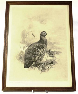 Lot 1056 - Charles Whymper, Pheasant, Grouse and Partridge, a set of three black and white prints, signed...