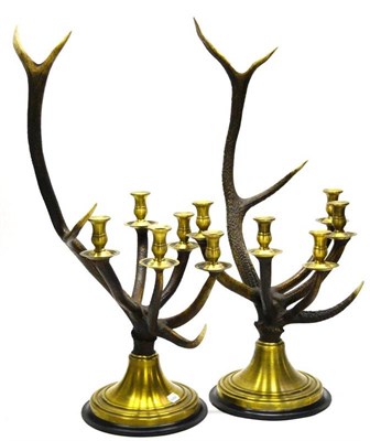 Lot 1221 - A Pair of Brass Mounted Seven-Branch Deer Antler Candelabra, modern, of naturalistic form on...