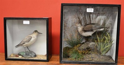 Lot 1238 - Greenshank (?) (Tringa nebularia), E Allen & Co, 20 Stonegate, York, circa 1910, full mount,...