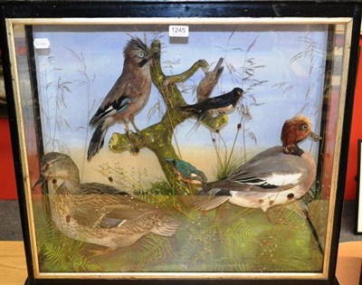 Lot 1245 - A Late Victorian Taxidermy Bird Display Case, comprising female mallard, pochard, kingfisher,...