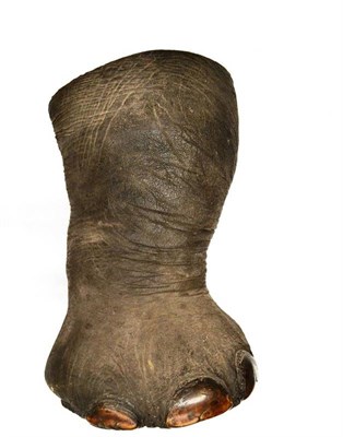 Lot 1248 - An Elephant Foot Stick Stand, circa 1890, 72cm high  Provenance: Captain James H ";Jim"; Sutherland