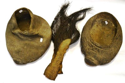 Lot 1250 - Two Preserved Elephant Foot Waste Paper Baskets, circa 1890, each 51cm long; and Two Preserved...