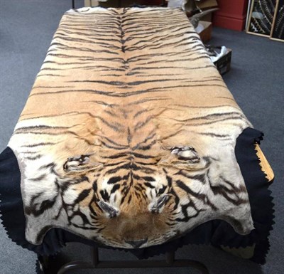 Lot 1254 - Tiger (Panthera tigris), Van Ingen & Van Ingen, Mysore, no.2599S, circa 1930, skin rug with...