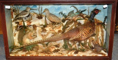 Lot 1302 - A Victorian Taxidermy Group of Six Birds and Animals, circa 1870, including Cock Pheasant,...