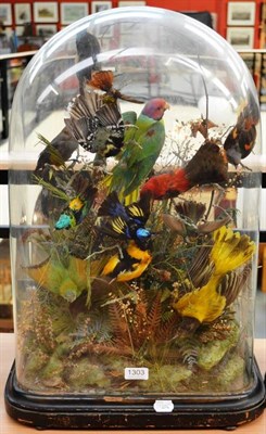 Lot 1303 - A Case of Thirteen Tropical Birds, J Masters Junr, Naturalist, 107 Oakley Street, Westminster...