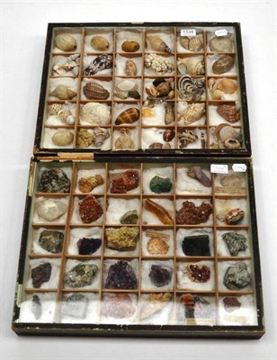 Lot 1334 - A Late 19th Century Thirty-Division Glazed Display Case of Minerals, including Labradorite,...