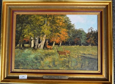 Lot 1347 - Prof Johann Christopher Drahtmann (German 1856-1932) ";Rehwild am Waldrand";, roe deer at the...