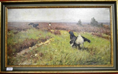 Lot 1352 - Prof Johann Christopher Drahtmann (German 1856-1932) ";Birkhahnbalz im Moor";, blackcocks on a moor