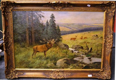 Lot 1355 - Prof Johann Christopher Drahtmann (German 1856-1932) ";Röhrender Hirsch am Waldrand";,...