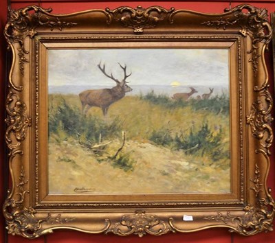 Lot 1357 - Prof Johann Christopher Drahtmann (German 1856-1932) ";Hirschrudel bei Sonnenaufgang";, deer at...