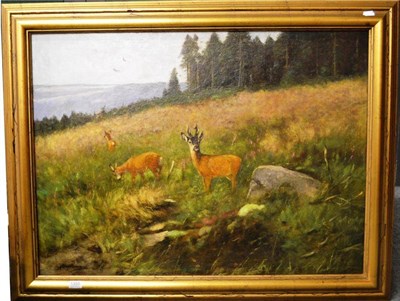 Lot 1358 - Prof Johann Christopher Drahtmann (German 1856-1932) ";Rehveld am Holzstapel";, roe deer on the...