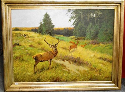 Lot 1361 - Prof Johann Christopher Drahtmann (German 1856-1932) ";Rotwild am Waldrand";, deer on the edge...