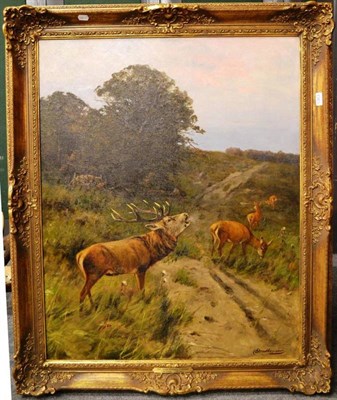 Lot 1362 - Prof Johann Christopher Drahtmann (German 1856-1932) ";Brunfthirsch mit Kahlwild";, rutting...