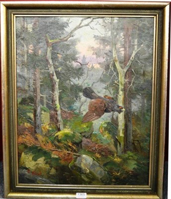 Lot 1365 - G Wolters ";Abstreichender Auerhahn";, capercaille Oil on canvas, 62.5cm by 50cm