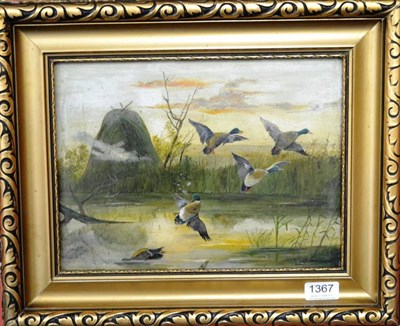 Lot 1367 - Bley  ";Auffliegende Enten";, flushing out ducks Oil on wood panel, 23.5cm by 31cm