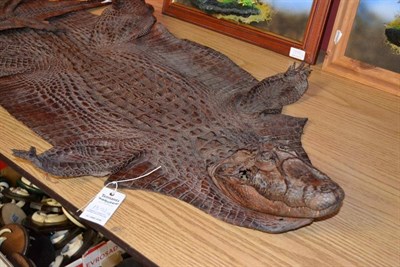 Lot 1392 - Alligator (Alligator mississippiensis), circa 1950, skin with head mount, 145cm long; A Similar...