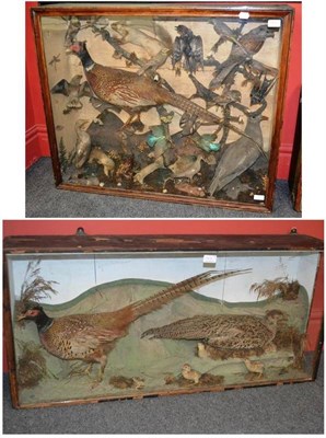 Lot 1412 - A Case of Taxidermy British Birds, circa 1880, including Woodpecker, Hawfinch, Kingfishers,...