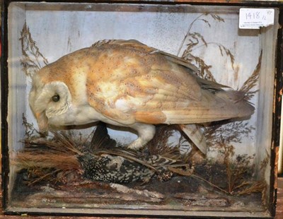 Lot 1418 - Barn Owl (Tyto alba), circa 1890, full mount, on starling prey amongst grasses, single glass...