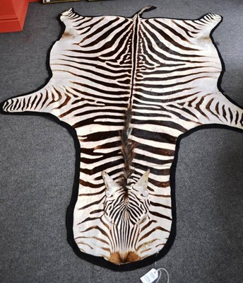 Lot 1433 - Plains Zebra (Equus quagga), skin rug, 276cm long, backed onto black felt