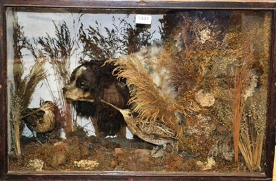 Lot 1441 - A Spaniel and Snipe Taxidermy Display, mid 19th century, the brown and white coated dog with...