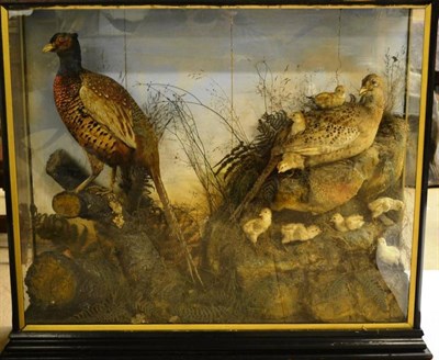 Lot 1442 - A Victorian Pheasant Group Taxidermy Display, circa 1890, by Thomas Hutchinson of Chester, the male