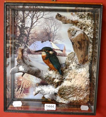 Lot 1444 - Kingfisher (Alcedo atthis), modern, full mount, perched on faux snow dusted branches with a...