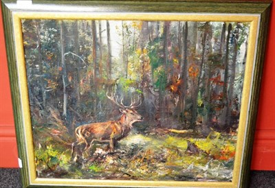 Lot 1445 - German School (20th century) Stag in Woodland Oil on canvas, 50cm by 60cm