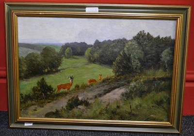 Lot 1355A - Prof Johann Christopher Drahtmann (German 1856-1932) Roe Deer by a Track in a Wooded Landscape...