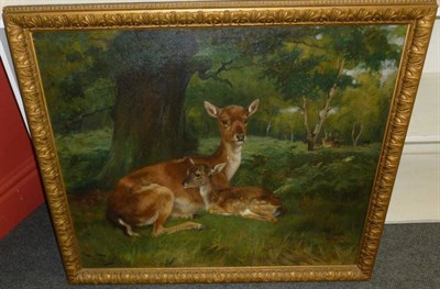 Lot 121 - Wright Barker - Study of a Fallow Doe and Faun, in a woodland setting, signed, oil on canvas,...