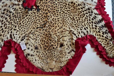 Lot 333 - Leopard (Panthera pardus), circa 1960-1965, flat skin rug backed onto puce felt, 208cm long,...